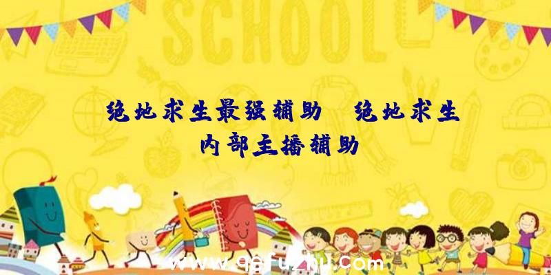 「绝地求生最强辅助」|绝地求生内部主播辅助